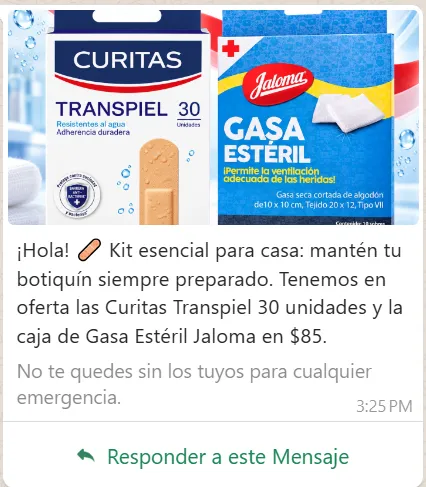 Vista previa de una plantilla de marketing con un kit de primeros auxilios para el hogar
